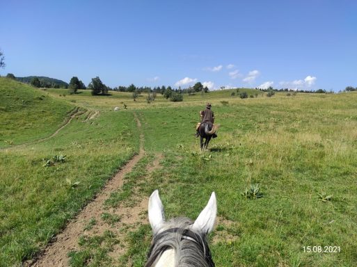 plateau de retord